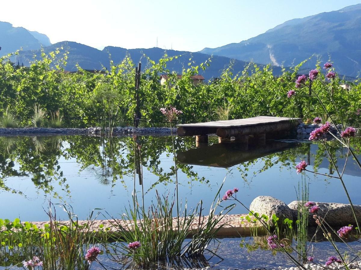 Agritur Fiore D'Ulivo Riva del Garda Bagian luar foto